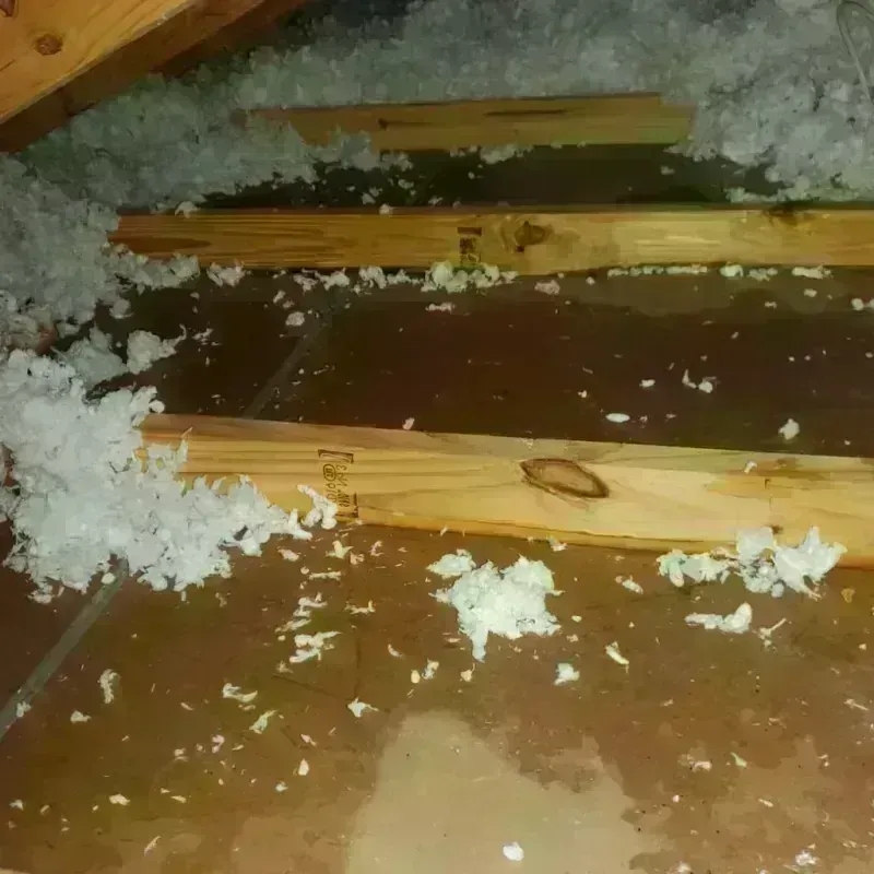 Attic Water Damage in Winona, MS