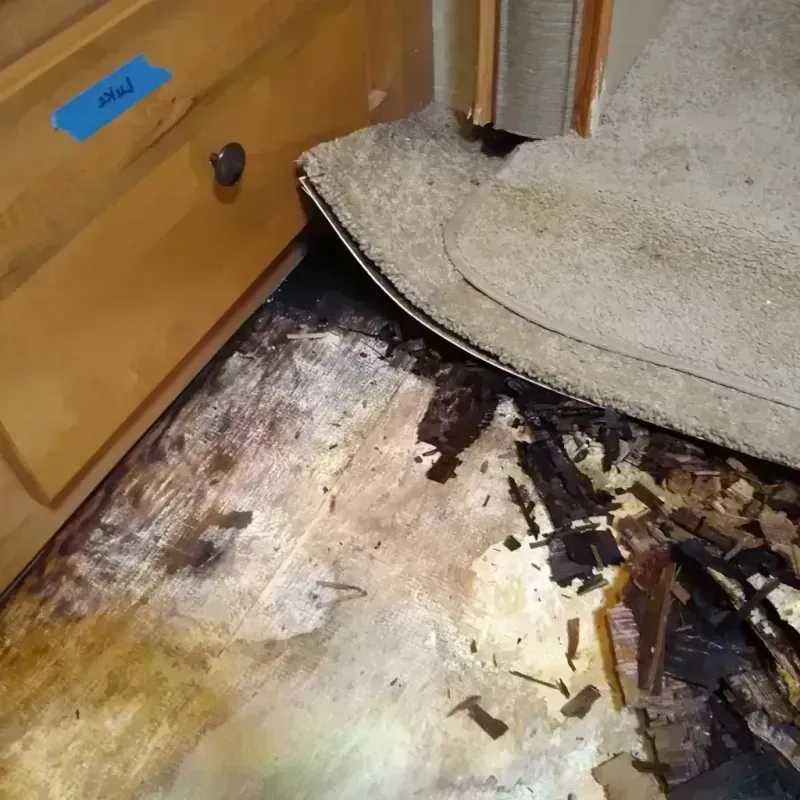 Wood Floor Water Damage in Winona, MS